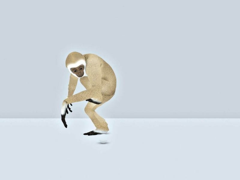 Immagine 2 del portfolio di Daniela Trocker