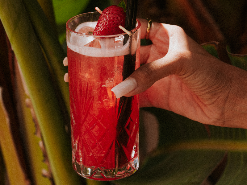 Immagine 1 del portfolio di Michele Palma Esposito