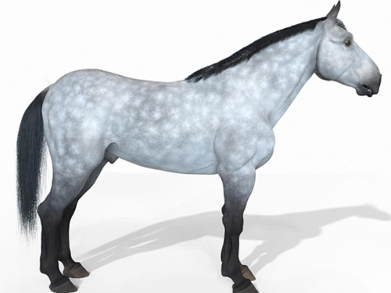 Immagine 3 del portfolio di Andrea Glioti