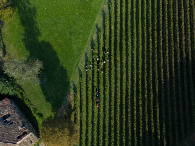 Immagine 5 del portfolio di Ivan Frattina