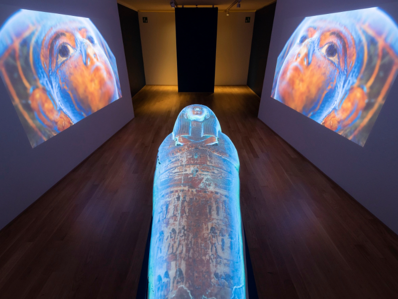 Immagine 1 del portfolio di Nicolò Siffredi