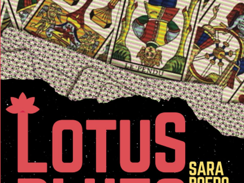 Immagine 5 del portfolio di Sara Boero