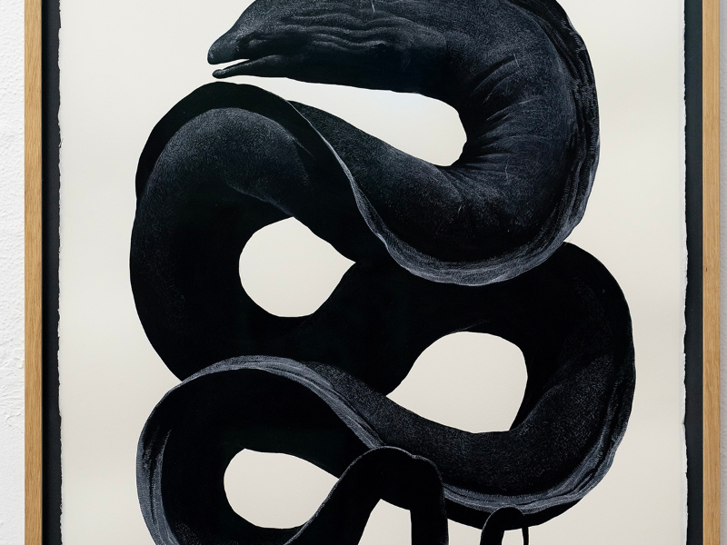 Immagine 8 del portfolio di Thomas Cian