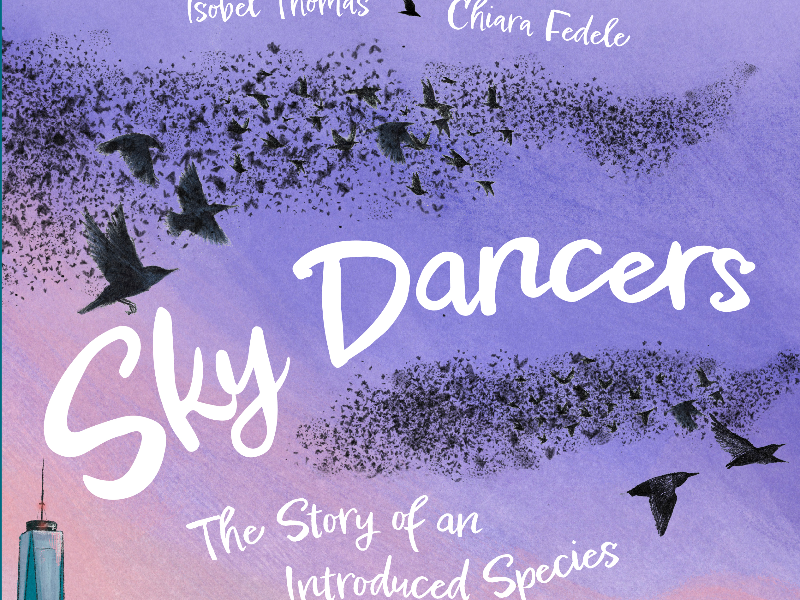 Immagine 8 del portfolio di Chiara Fedele