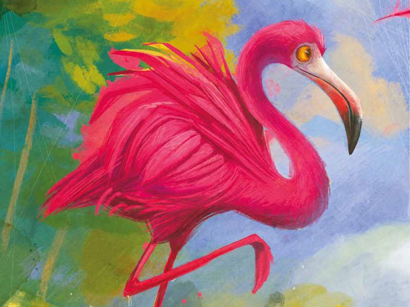 Immagine 2 del portfolio di Susanna Covelli