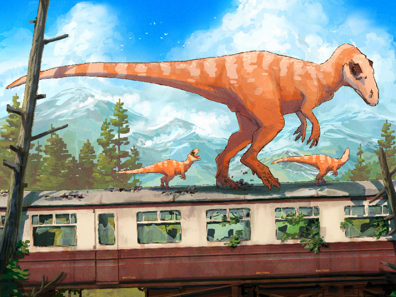 Immagine 1 del portfolio di Leonardo Mazzoli